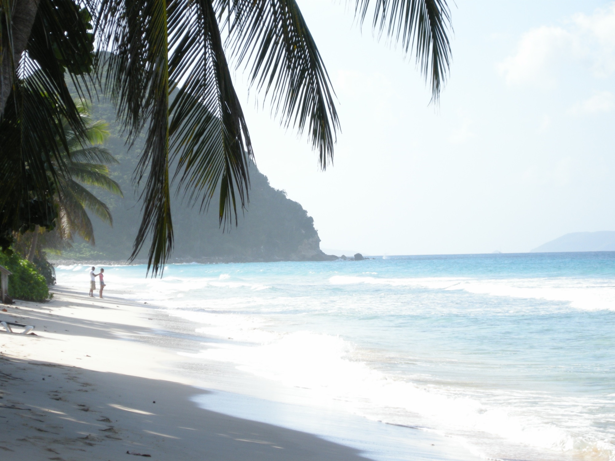 BVI beach view through palms